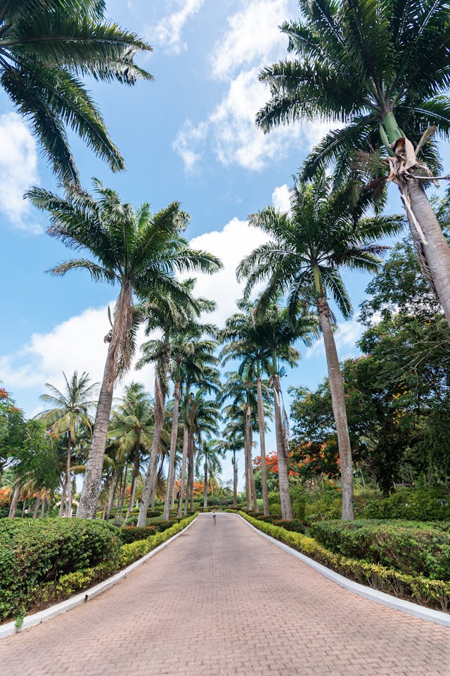 Trinidad and Tobago: Where Island Rhythms, Nature & Culture Collide